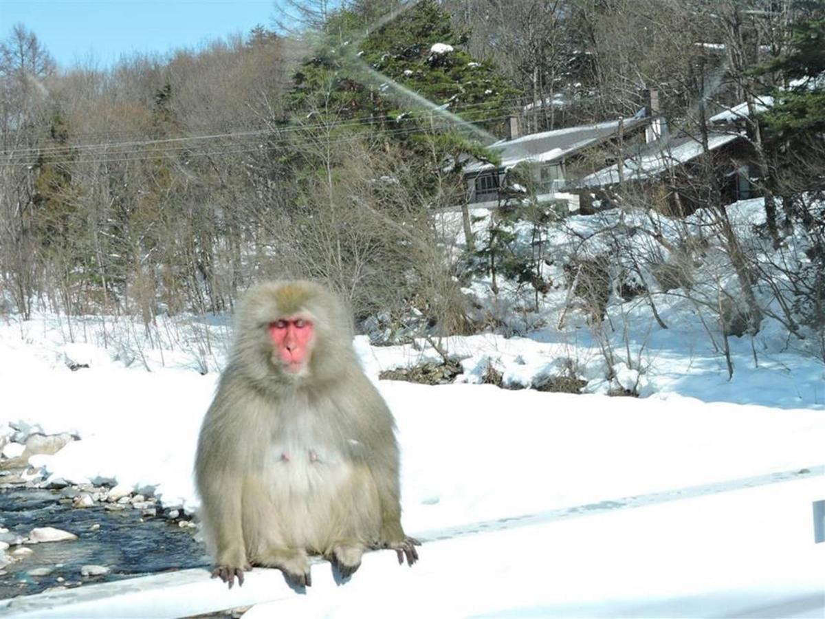 Momiji Guesthouse Cottages - Alpine Route Omachi  Exterior foto